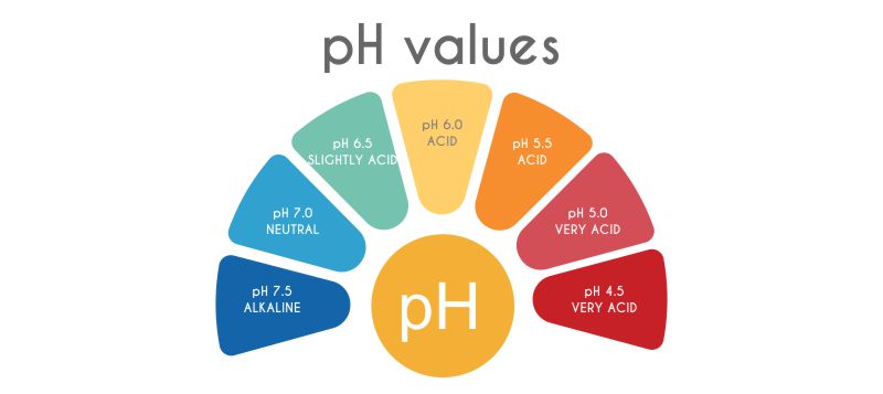 Menyeimbangkan pH