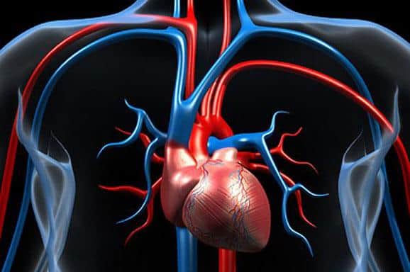 Manfaat LifePak Nuskin_meyehatkan sistem kardiovaskular (Copy)