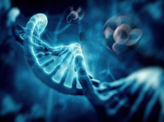 DNA Repair Enzymes