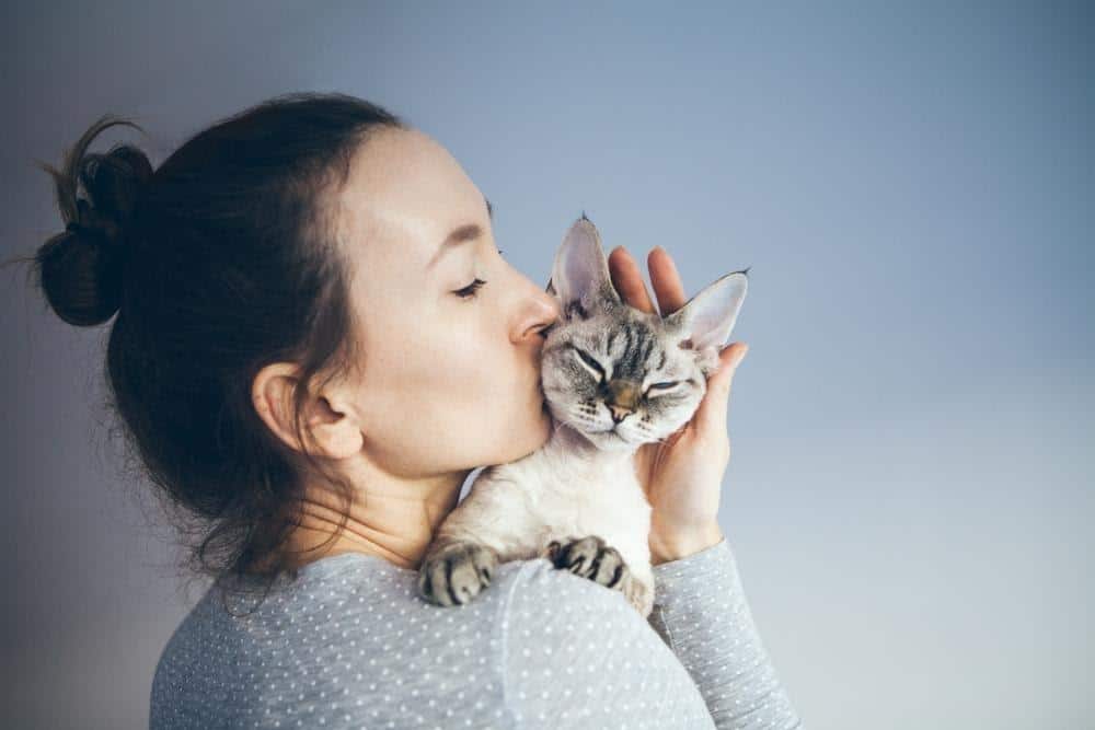 fakta tentang wanita pencinta kucing_Memiliki Hati yang Baik