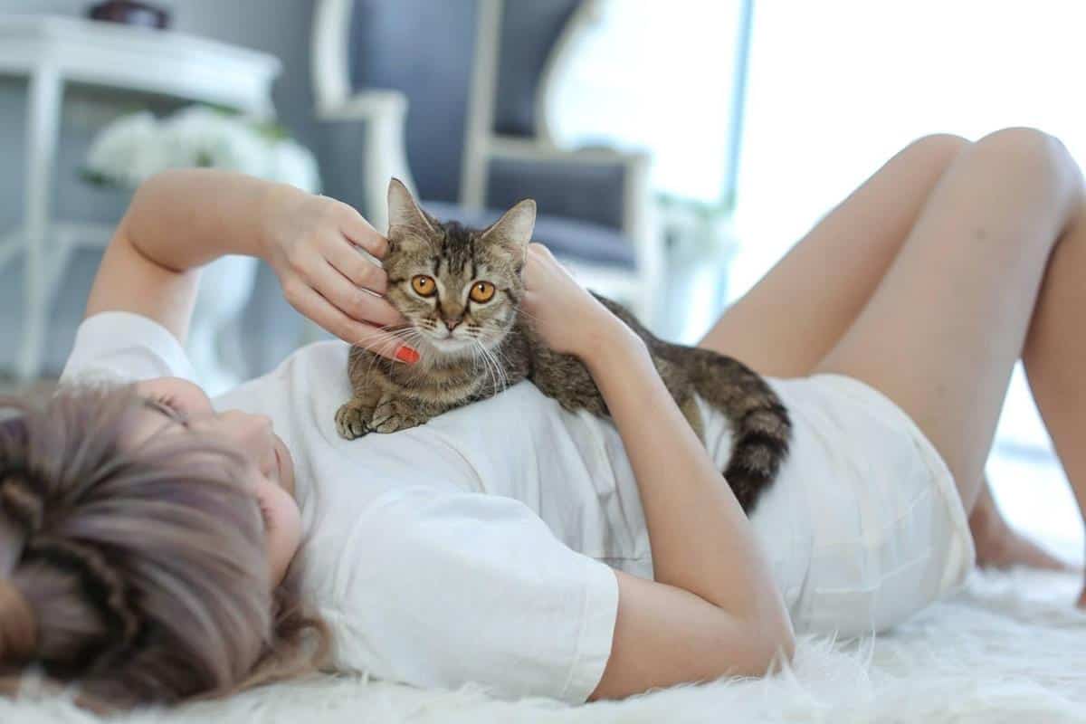 fakta tentang wanita pencinta kucing_Memiliki Komitmen