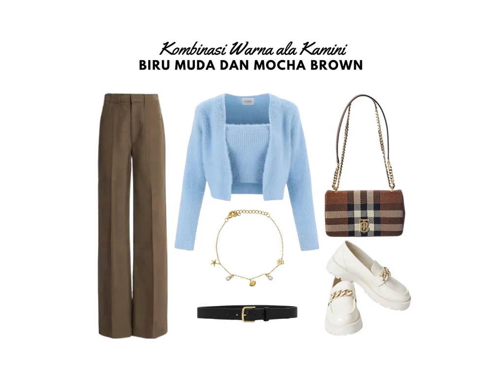 Warna Biru Muda dan Mocha Brown_