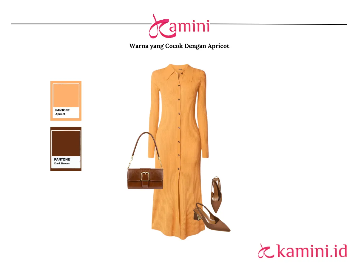 Warna Apricot dan Warna Dark Brown_