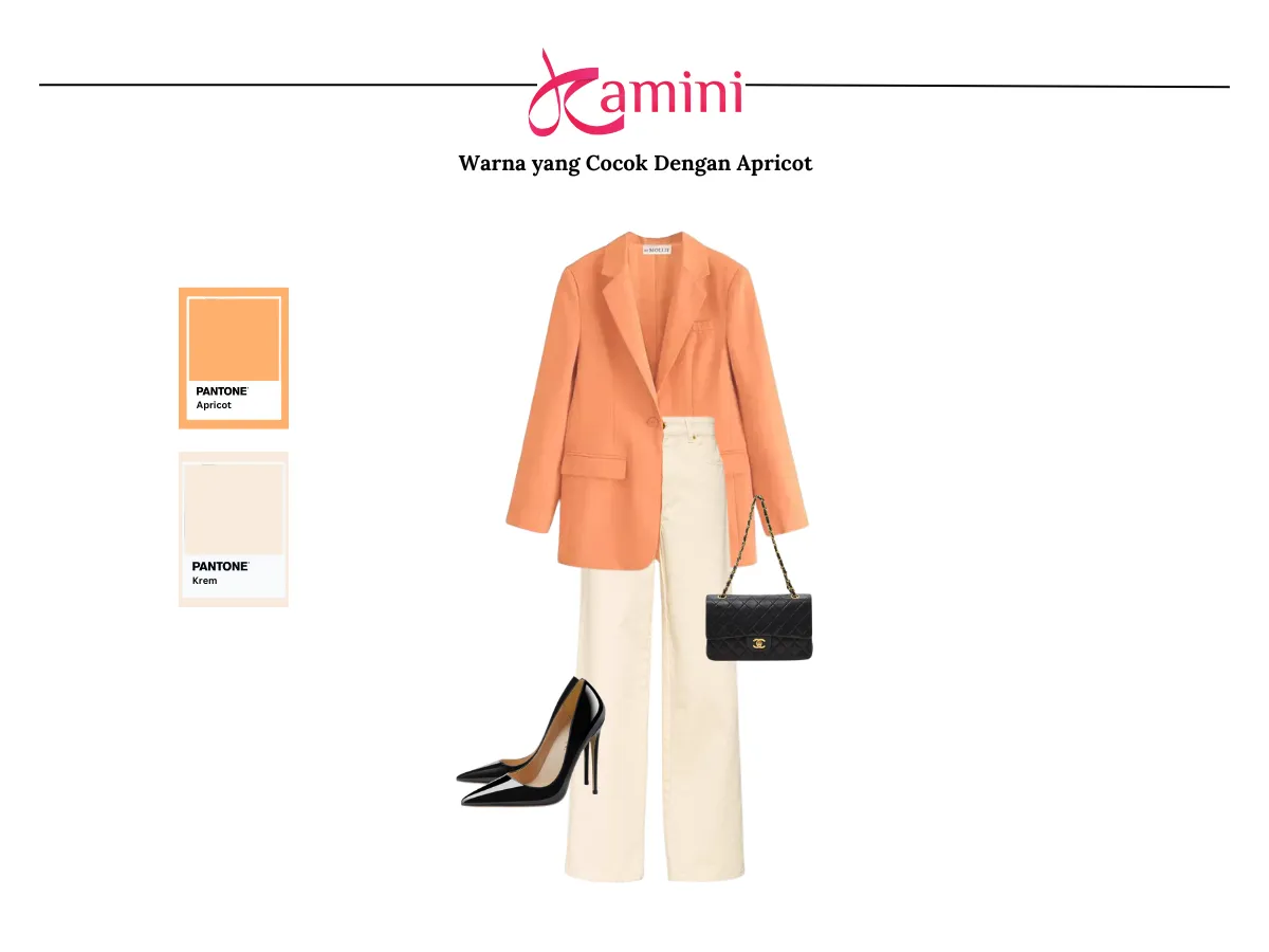 Warna Apricot dan Warna Krem_