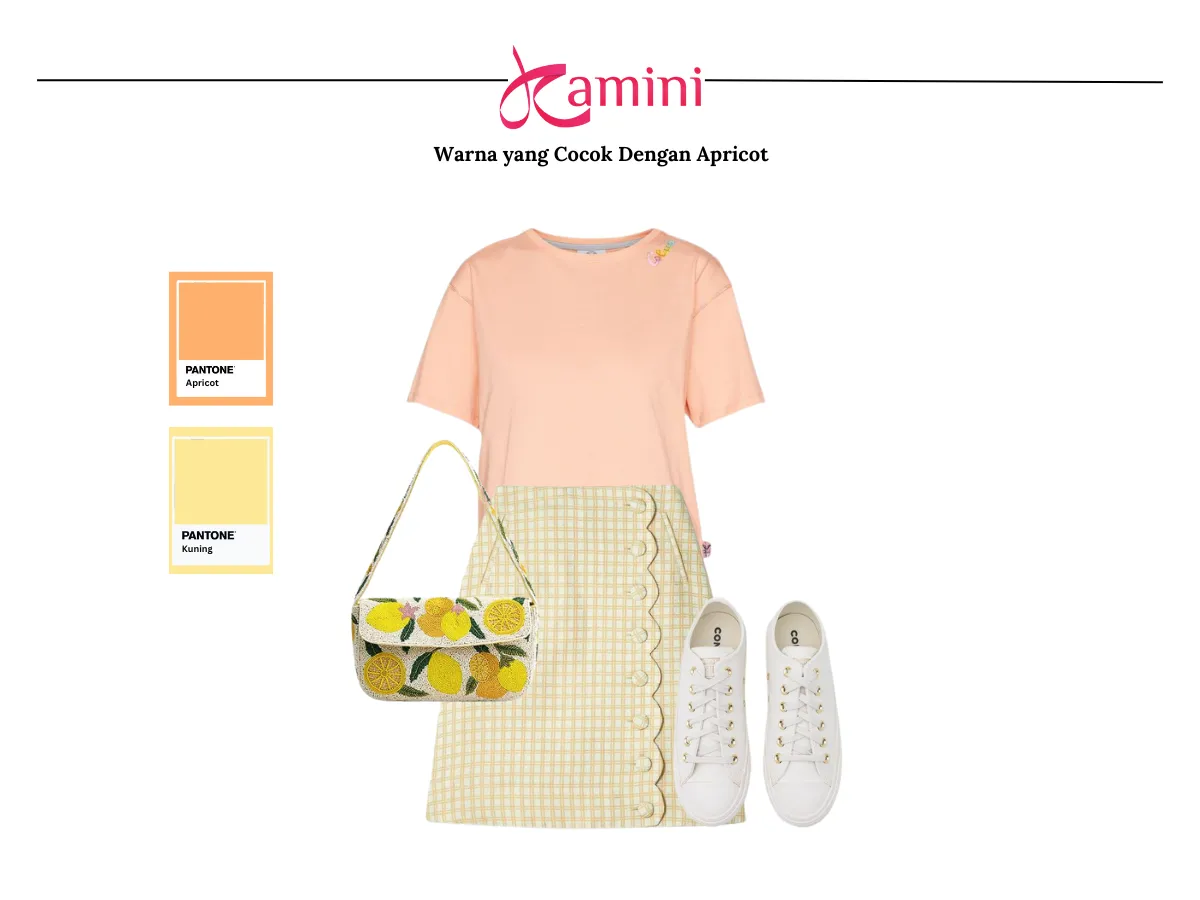 Warna Apricot dan Warna Kuning_