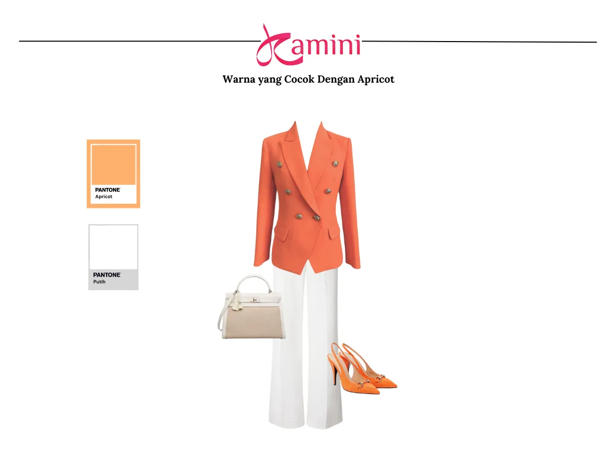 Warna Apricot dan Warna Putih_