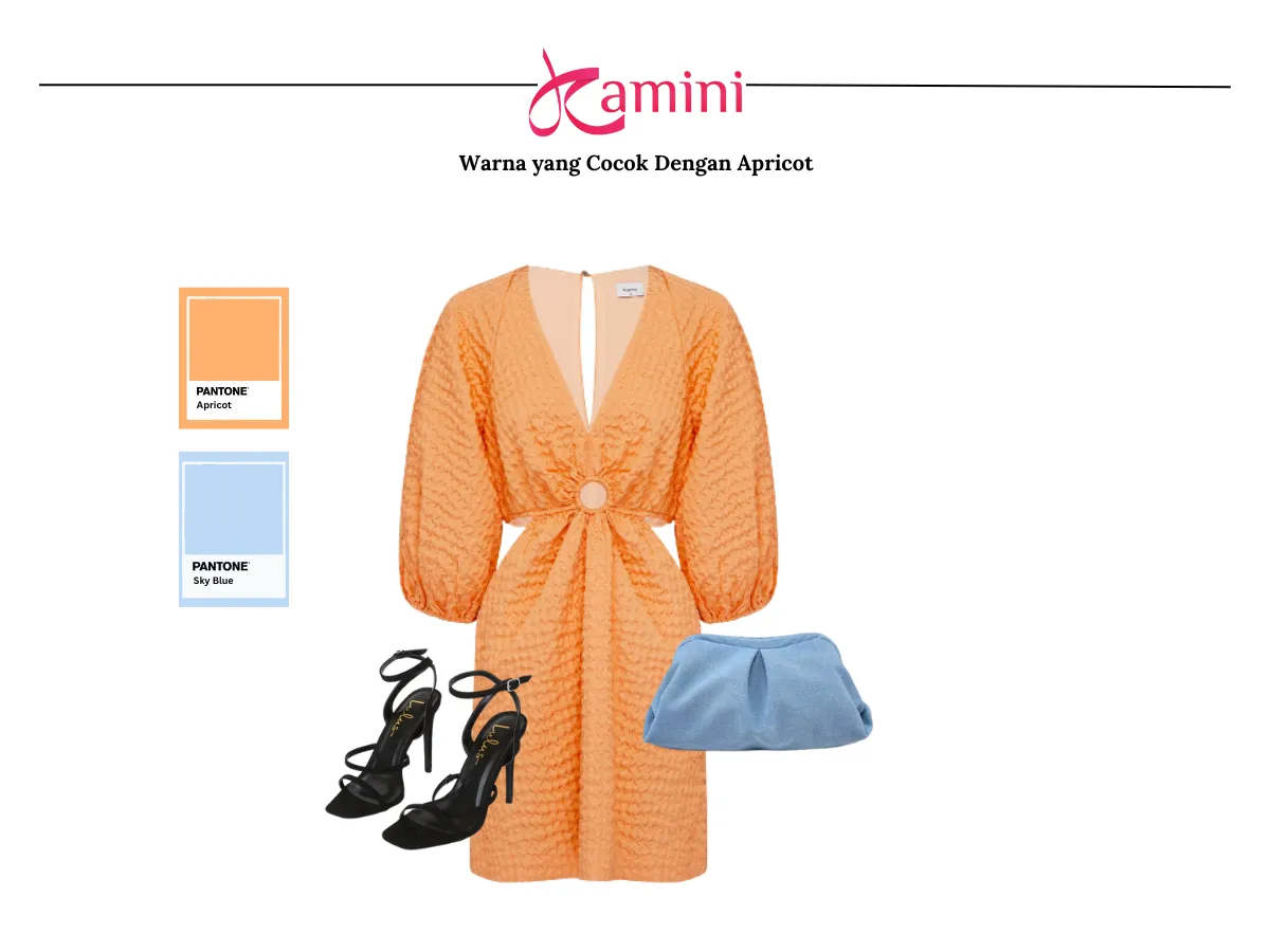 Warna Apricot dan Warna Sky Blue_