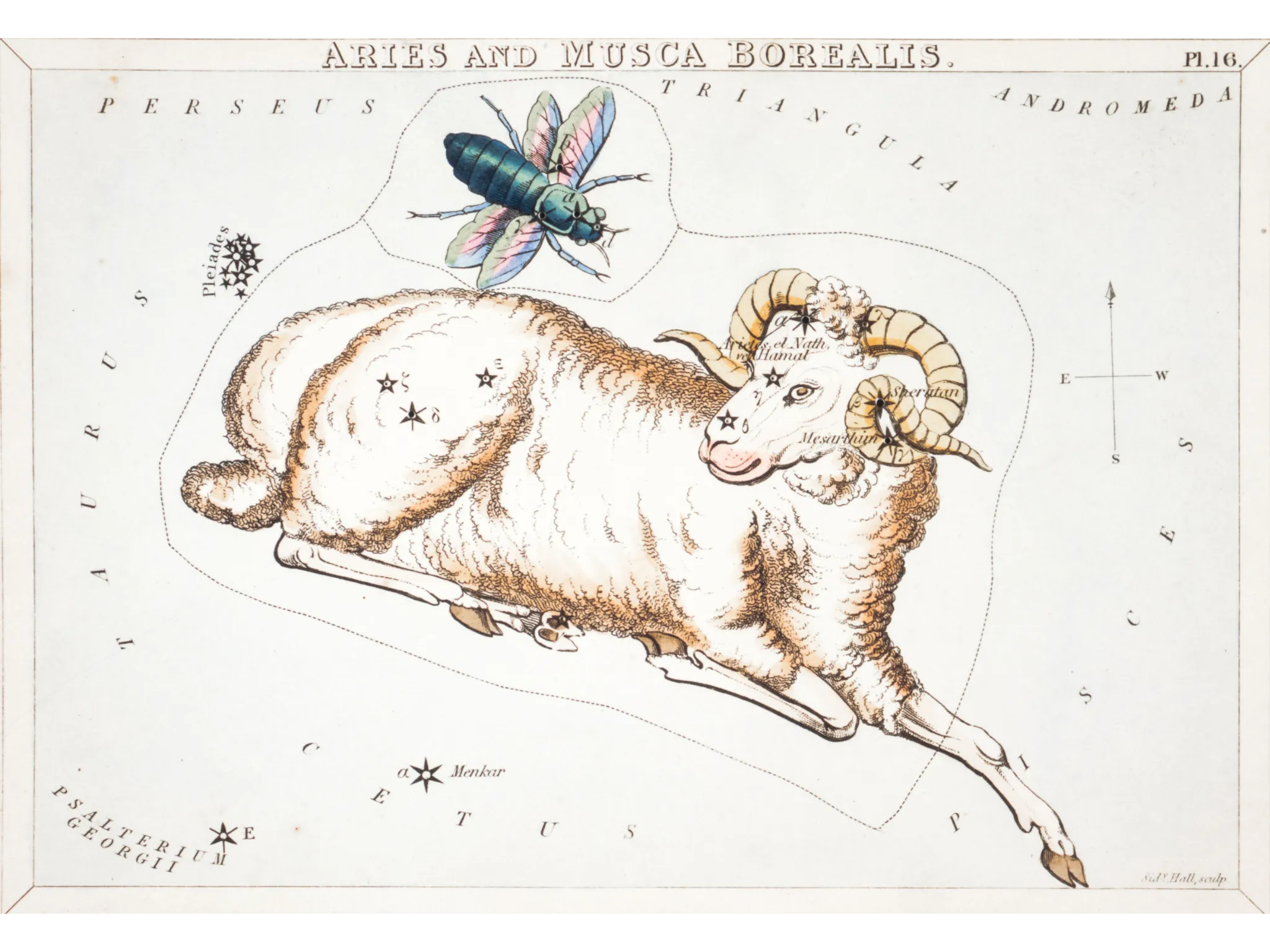 1. Aries – Terlalu Cepat Bertindak, Kurang Sabar_