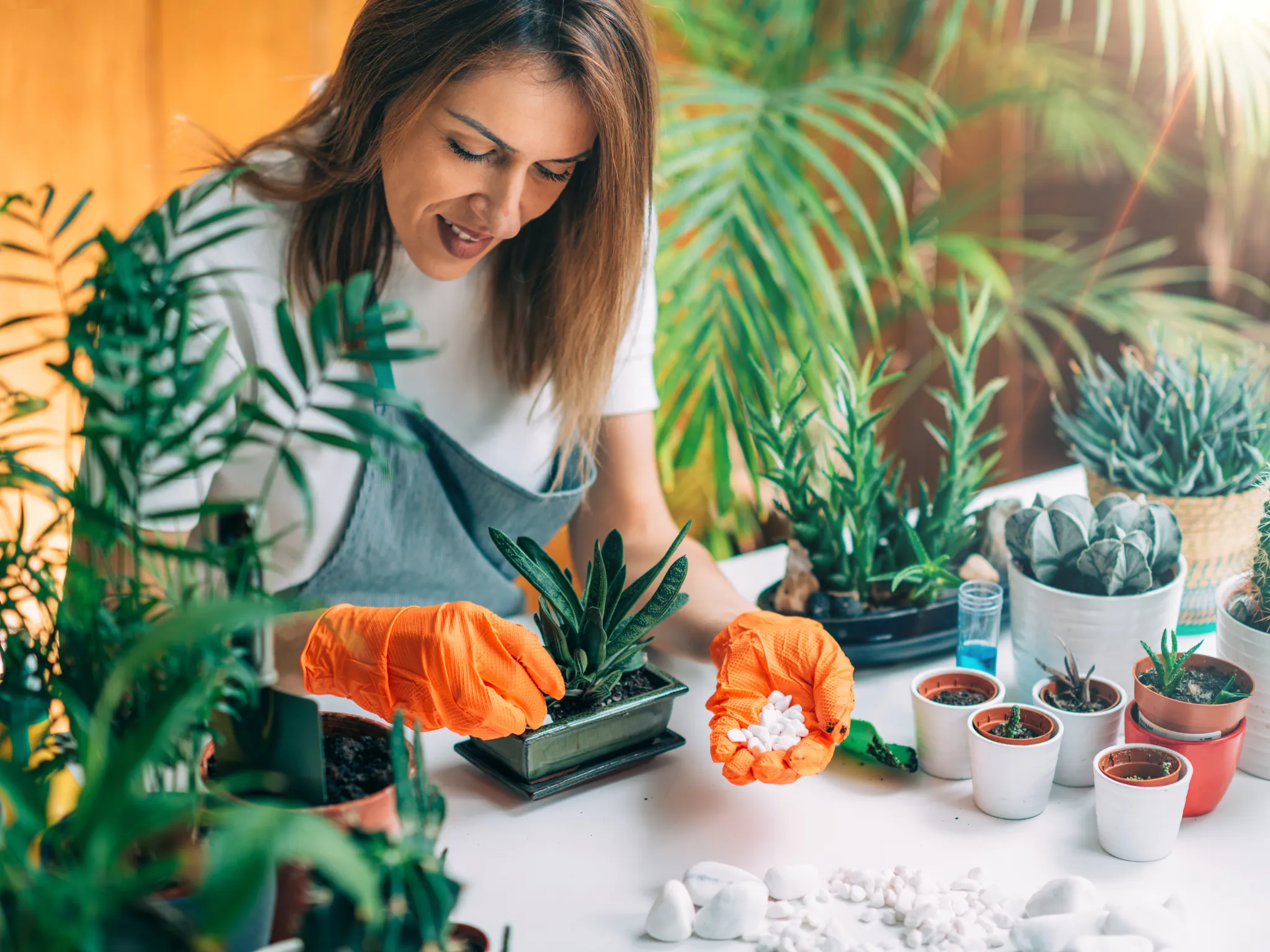 4. Merawat Tanaman atau Berkebun Kecil_