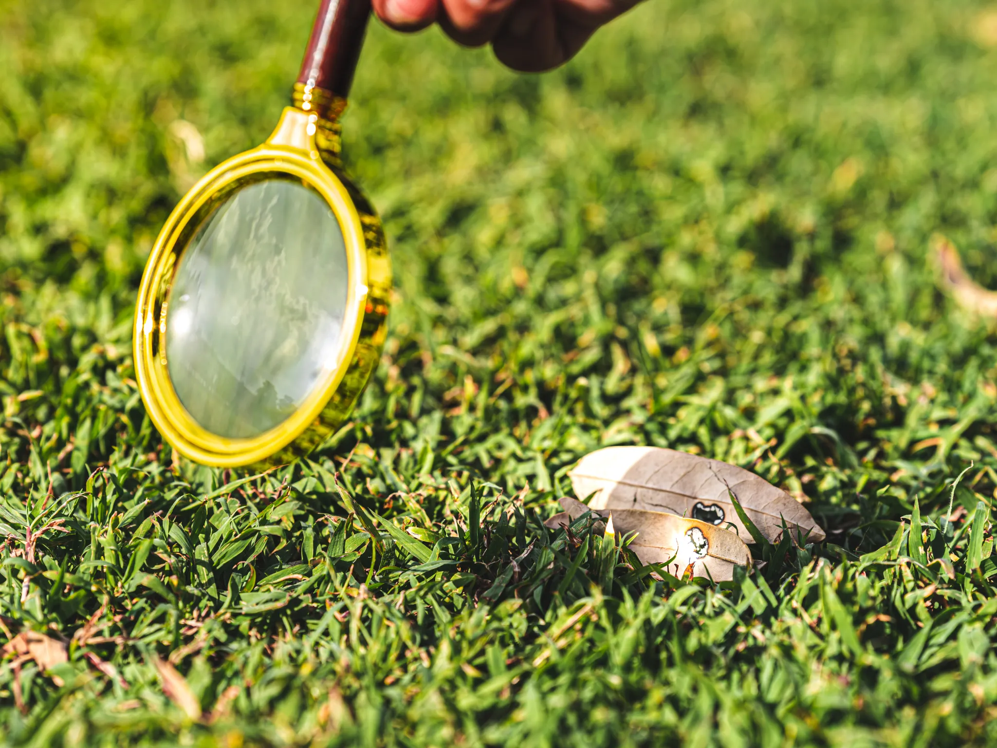 1. Membuat Api Tanpa Korek atau Gas_