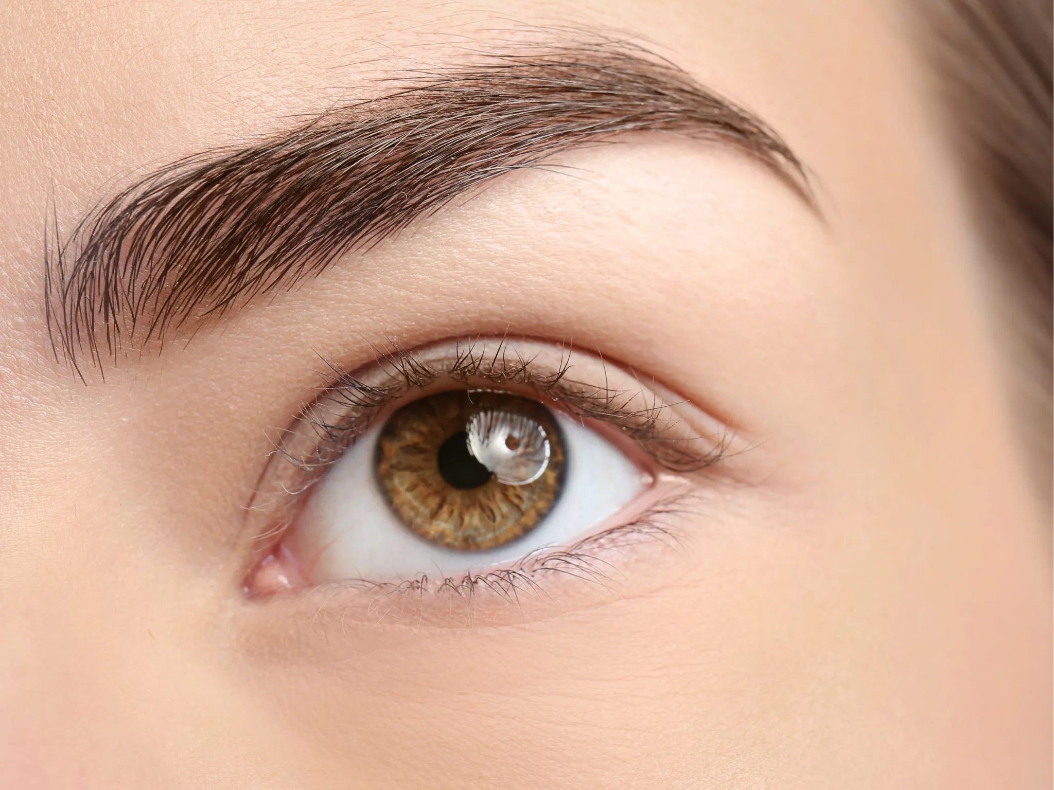 3. Cokelat Abu (Ash Brown)_