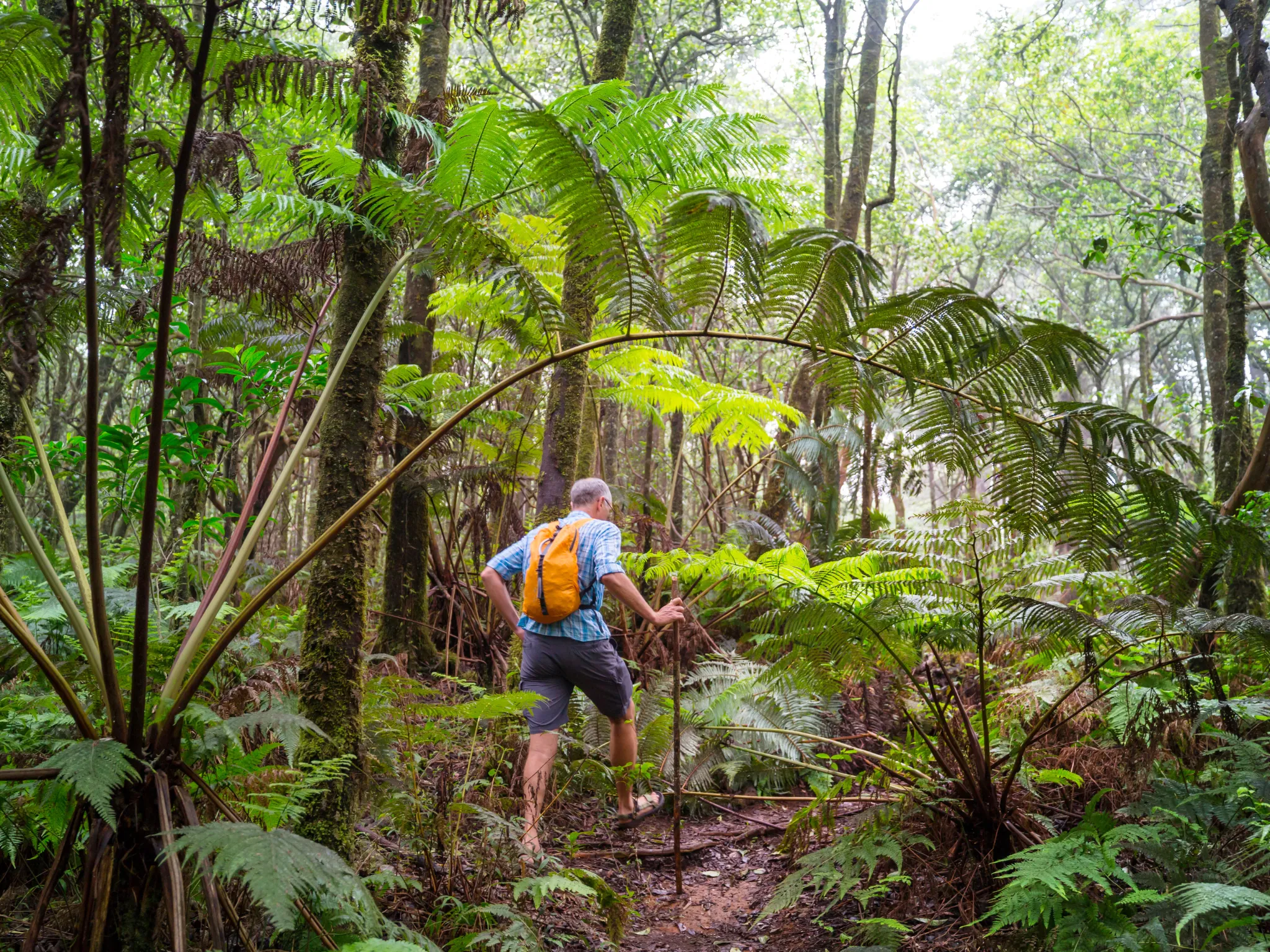 3. Spontan dan Suka Petualangan_