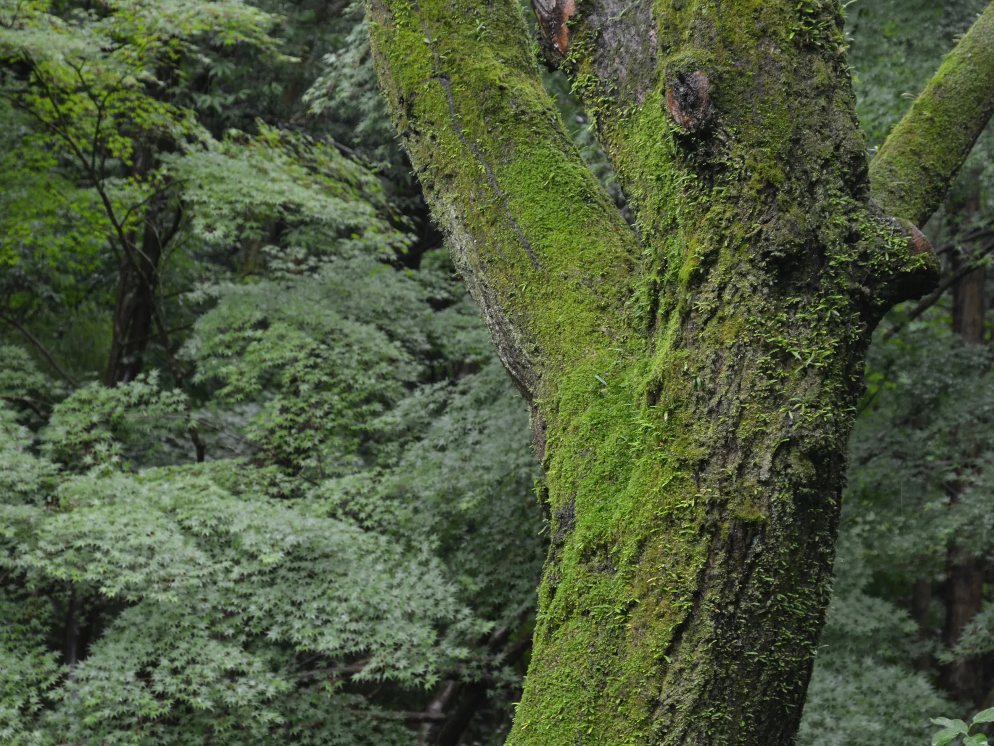 4. Navigasi Tanpa GPS_