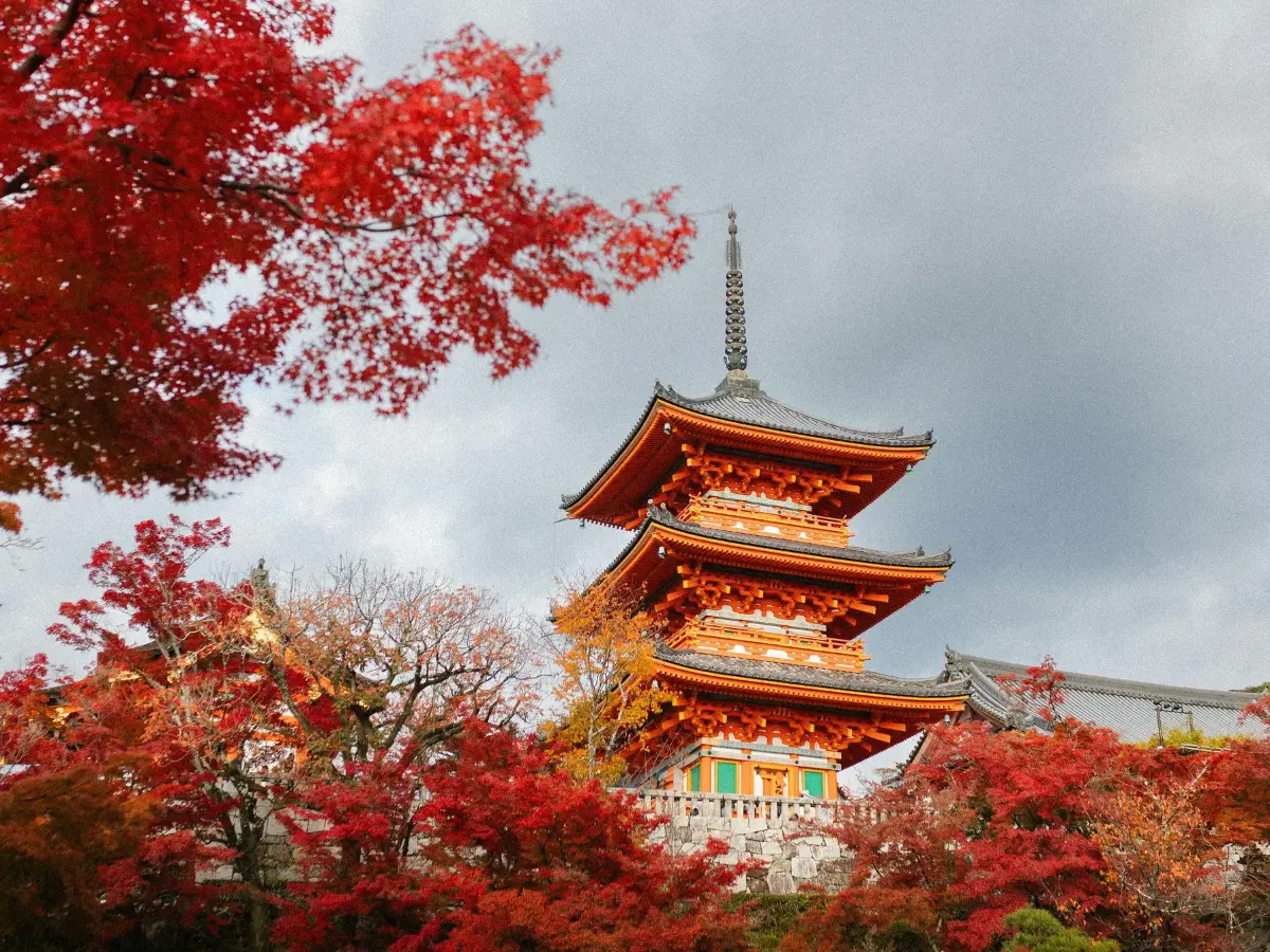 Serunya Wisata Jepang Saat Musim Gugur, Waktu Terbaik Buat Berkunjung